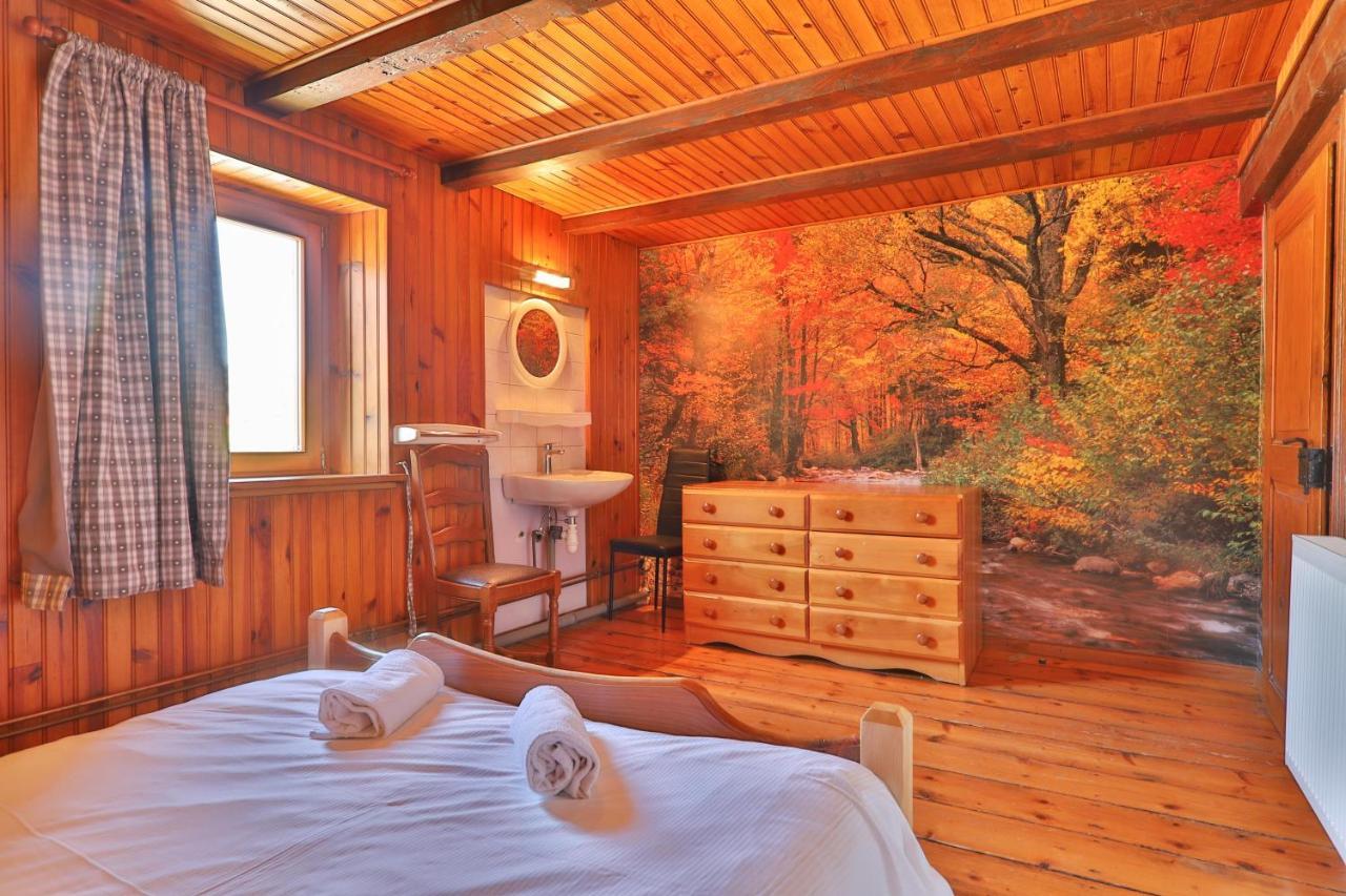 Spacieux Et Confortables Gites A Proximite Randonnees, Lacs, Ski Nature Sondernach Exterior photo