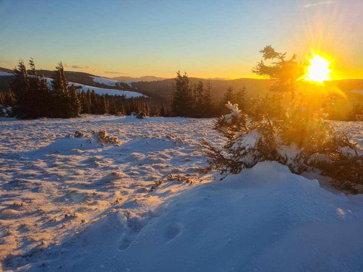 Spacieux Et Confortables Gites A Proximite Randonnees, Lacs, Ski Nature Sondernach Exterior photo