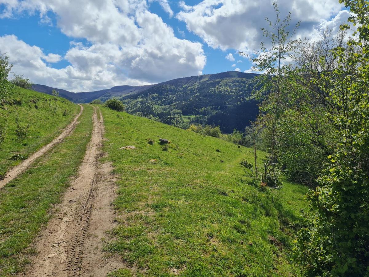 Spacieux Et Confortables Gites A Proximite Randonnees, Lacs, Ski Nature Sondernach Exterior photo