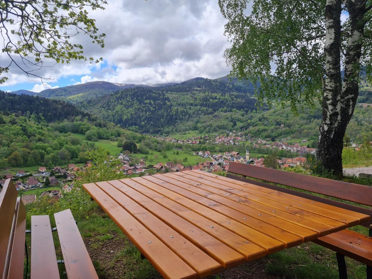 Spacieux Et Confortables Gites A Proximite Randonnees, Lacs, Ski Nature Sondernach Exterior photo