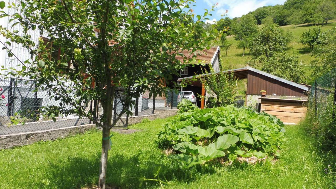 Spacieux Et Confortables Gites A Proximite Randonnees, Lacs, Ski Nature Sondernach Exterior photo