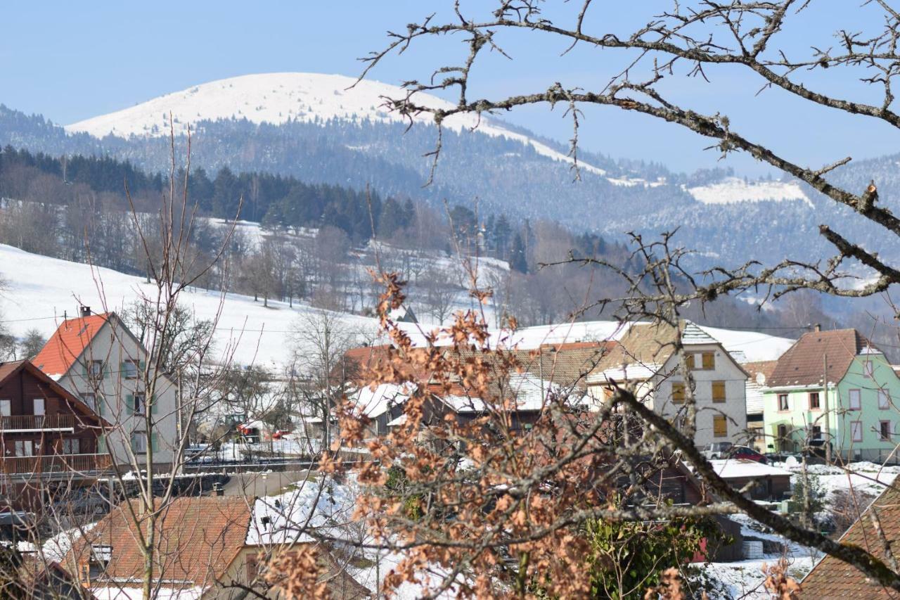 Spacieux Et Confortables Gites A Proximite Randonnees, Lacs, Ski Nature Sondernach Exterior photo
